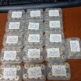 dba8deeb-9767-4ea3-8ffb-6274c8b98f4e-2