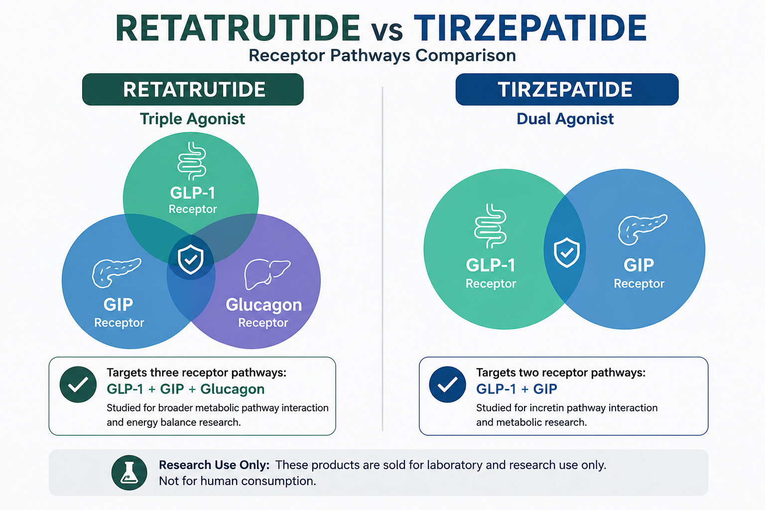 Retatrutide vs Tirzepatide receptor pathway comparison showing GLP-1 GIP and glucagon activity